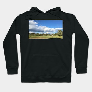 Beautiful Day Hoodie